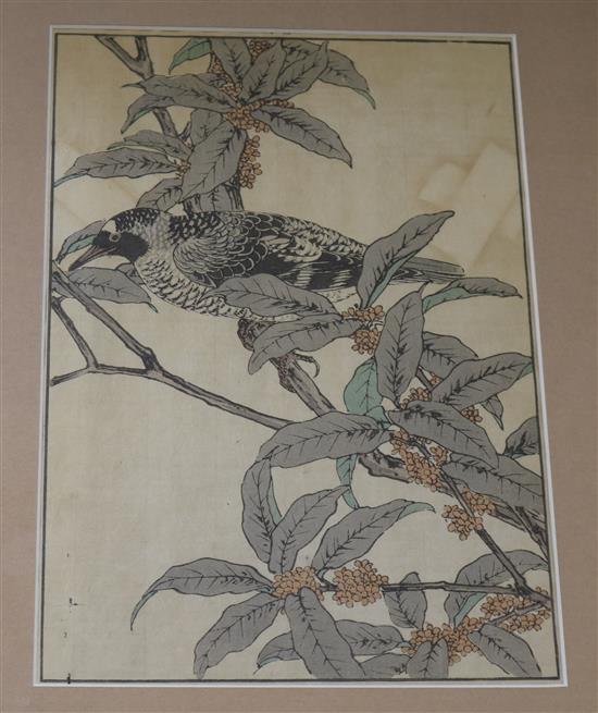 Japanese School Studies of birds amongst foliage 13 x 9in.